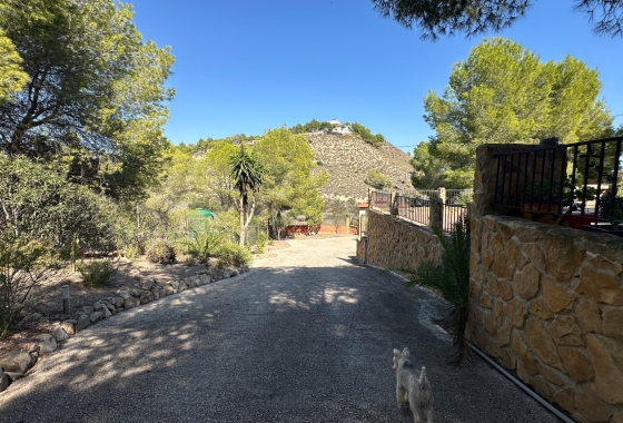 Wiederverkauf - Finca - San Miguel de Salinas - Inland