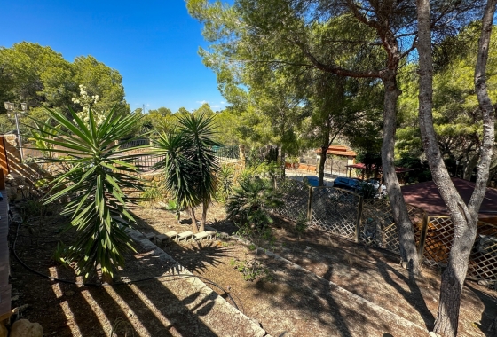 Wiederverkauf - Finca - San Miguel de Salinas - Inland