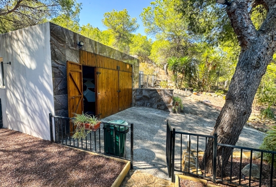 Wiederverkauf - Finca - San Miguel de Salinas - Inland