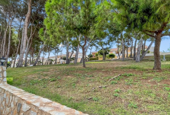 Revente - Appartement - Mil Palmeras - Costa Blanca