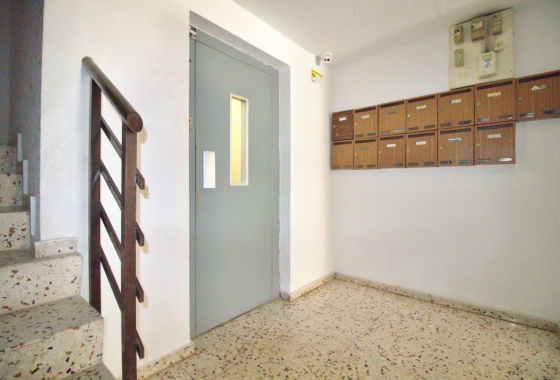 Перепродажа - Квартира - Alicante - Benalua