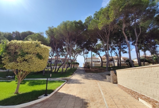 Перепродажа - Пентхаус - Mil Palmeras - Costa Blanca