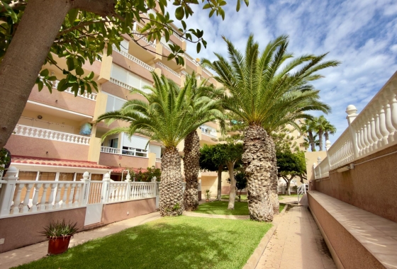 Перепродажа - Квартира - Guardamar del Segura - Urbanizaciones