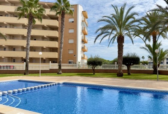 Перепродажа - Квартира - Guardamar del Segura - Urbanizaciones
