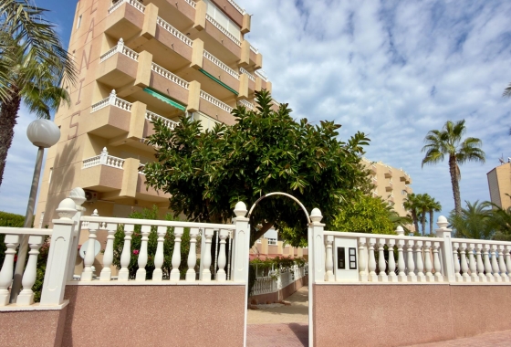 Перепродажа - Квартира - Guardamar del Segura - Urbanizaciones