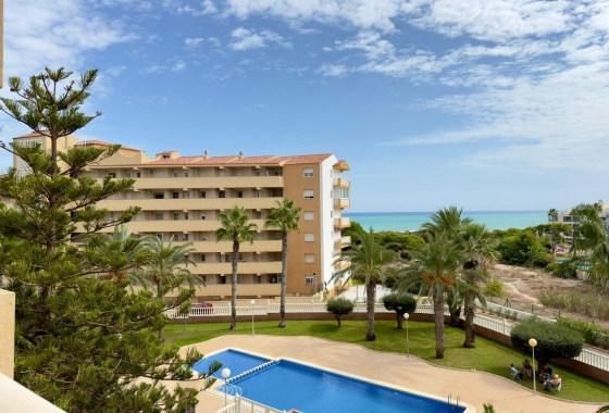 Перепродажа - Квартира - Guardamar del Segura - Urbanizaciones
