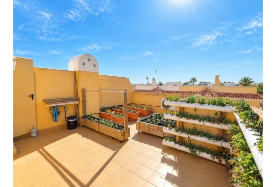 Перепродажа - Таунхаус - Ciudad Quesada - Costa Blanca