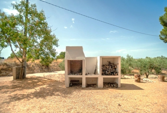 Перепродажа - Finca - Gea Y Truyols - Inland