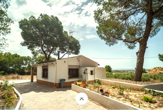 Перепродажа - Finca - Gea Y Truyols - Inland