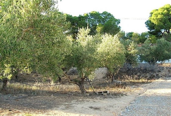 Перепродажа - Finca - Gea Y Truyols - Inland