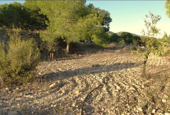 Перепродажа - Finca - Gea Y Truyols - Inland