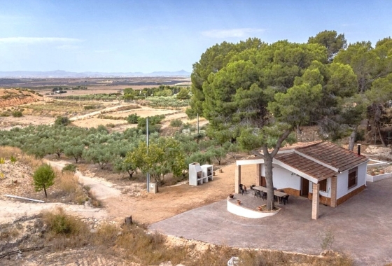 Перепродажа - Finca - Gea Y Truyols - Inland