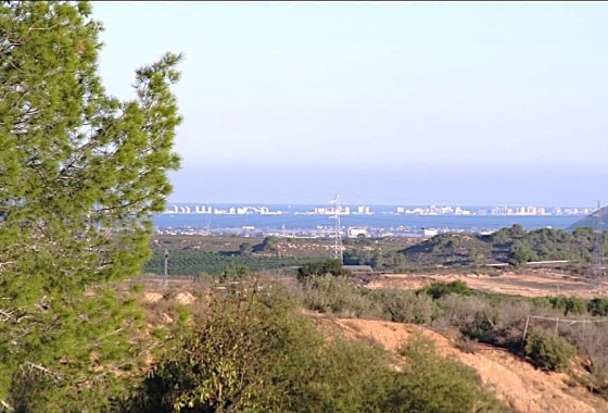Перепродажа - Finca - Gea Y Truyols - Inland