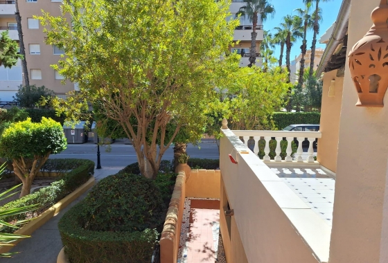 Перепродажа - Квартира - Torrevieja - Los Frutales