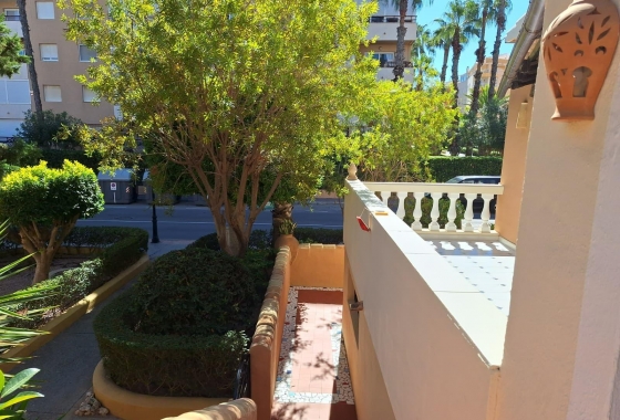 Перепродажа - Квартира - Torrevieja - Los Frutales