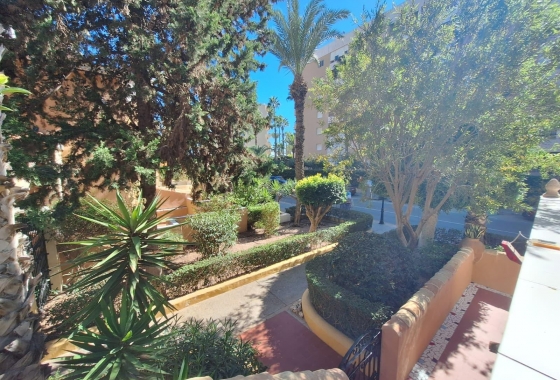Перепродажа - Квартира - Torrevieja - Los Frutales