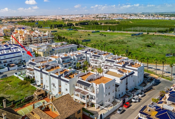 Wiederverkauf - Wohnung - Torrevieja - Costa Blanca