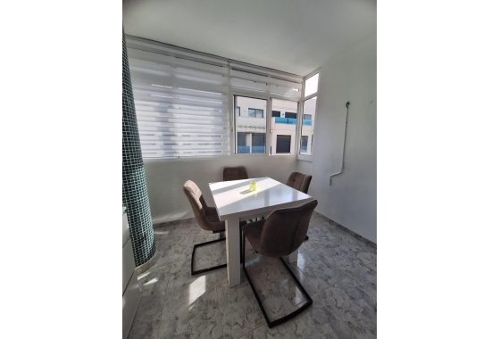 Återförsäljning - Lägenhet / lägenhet - Torrevieja - Nueva Torrevieja