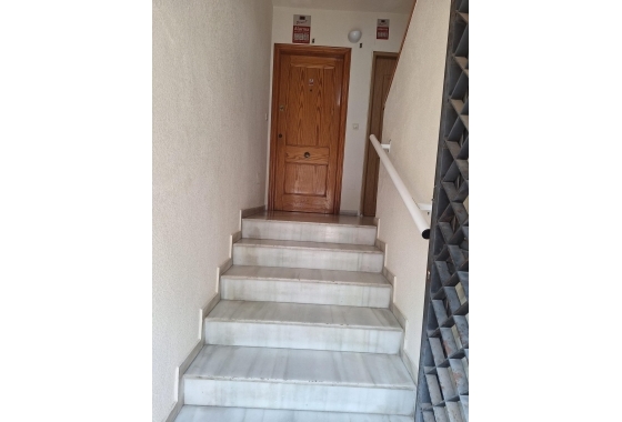 Återförsäljning - Lägenhet / lägenhet - Torrevieja - Nueva Torrevieja