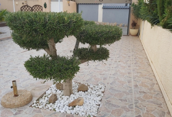 Återförsäljning - Villa - Rojales - Costa Blanca