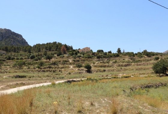Återförsäljning - Finca - Benissa - Costa Blanca