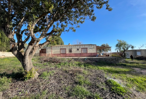 Återförsäljning - Finca - Aspe - Inland
