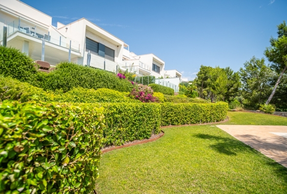Wiederverkauf - Wohnung - Pilar de la Horadada - Costa Blanca