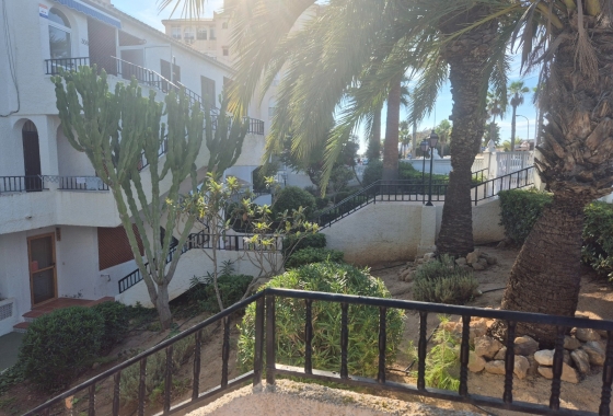Återförsäljning - Lägenhet / lägenhet - Torrevieja - Torrejón