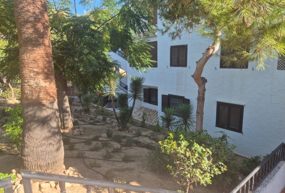 Återförsäljning - Lägenhet / lägenhet - Torrevieja - Torrejón