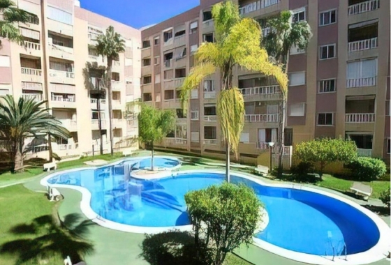 Revente - Appartement - Torrevieja - PARQUE DE LAS NACIONES