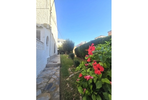 Revente - Maison de ville - Torrevieja - Habaneras