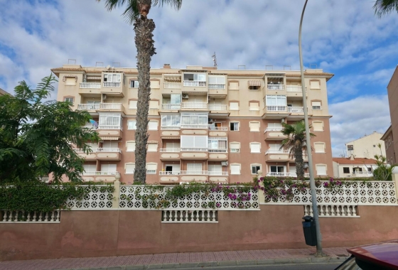 Herverkoop - Appartement / flat - Torrevieja - Torreblanca
