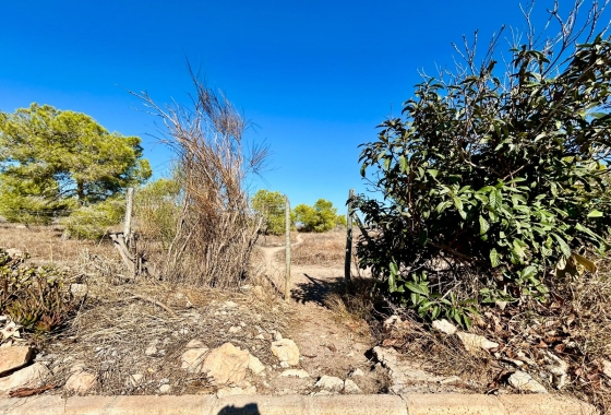 Herverkoop - Herenhuis - Torrevieja - Costa Blanca