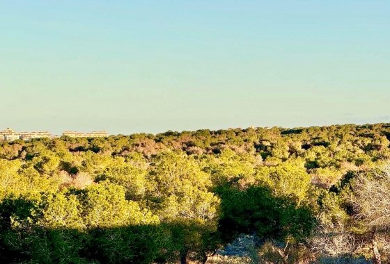 Herverkoop - Herenhuis - Torrevieja - Costa Blanca