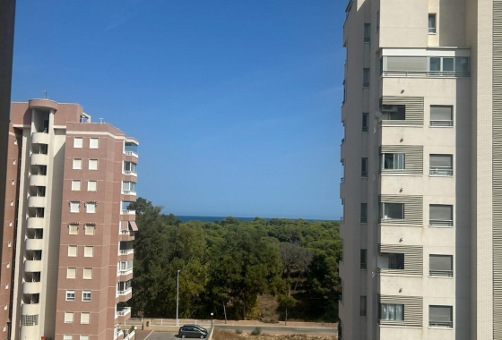 Resale - Apartment / flat - Guardamar del Segura - Avda del Puerto
