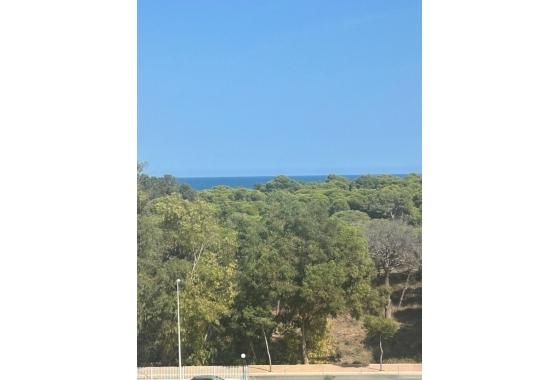 Resale - Apartment / flat - Guardamar del Segura - Avda del Puerto
