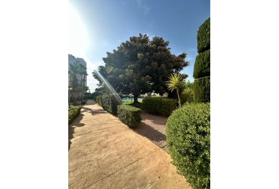 Resale - Apartment / flat - Guardamar del Segura - Avda del Puerto