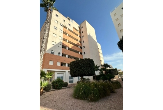 Resale - Apartment / flat - Guardamar del Segura - Avda del Puerto
