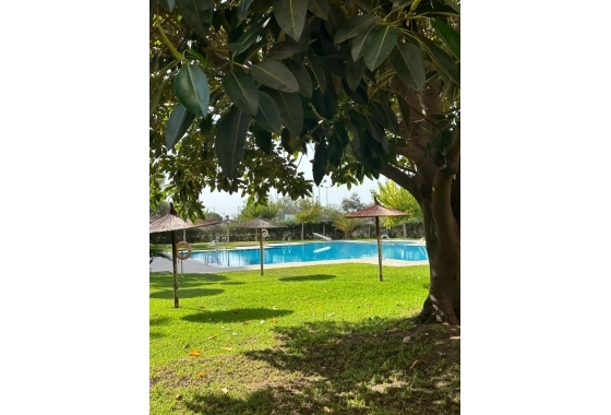 Resale - Apartment / flat - Guardamar del Segura - Avda del Puerto