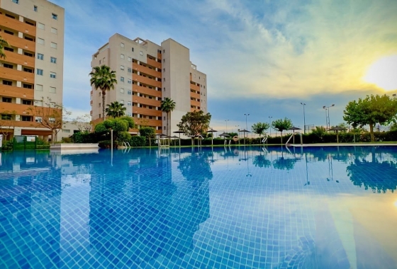Resale - Apartment / flat - Guardamar del Segura - Avda del Puerto