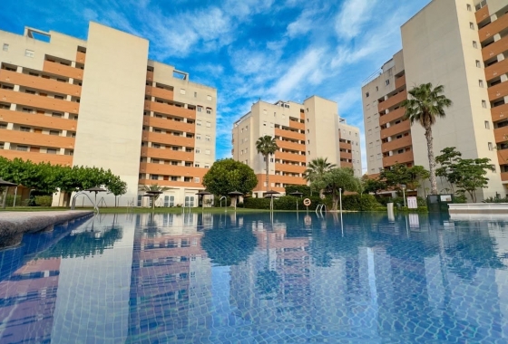 Resale - Apartment / flat - Guardamar del Segura - Avda del Puerto