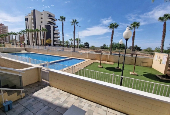Resale - Apartment / flat - Guardamar del Segura - SUP-7 & Port Area
