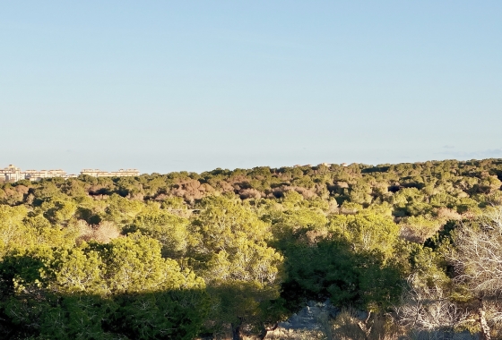 Revente - Maison de ville - Torrevieja - Costa Blanca