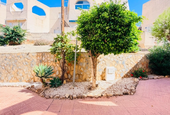 Wiederverkauf - Wohnung - San Miguel de Salinas