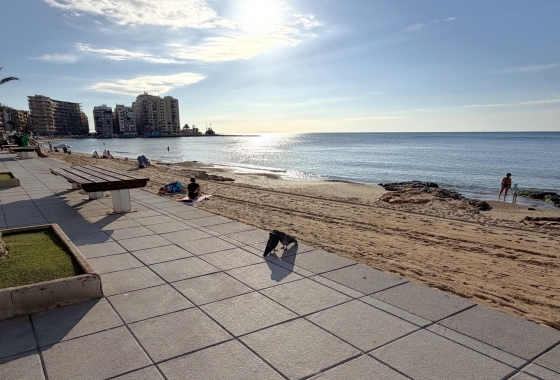 Перепродажа - Квартира - Torrevieja - Las Piscinas Naturales