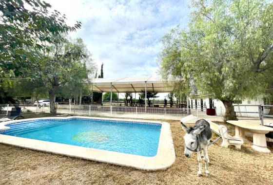 Перепродажа - Finca - Orihuela - Inland