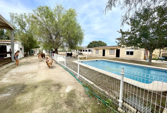Перепродажа - Finca - Orihuela - Inland