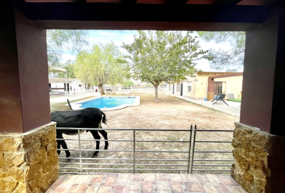 Перепродажа - Finca - Orihuela - Inland