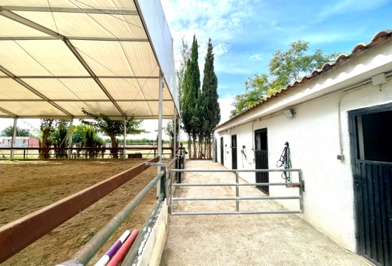 Перепродажа - Finca - Orihuela - Inland