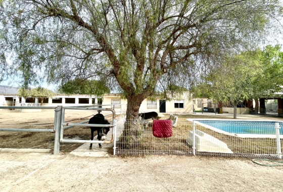 Перепродажа - Finca - Orihuela - Inland